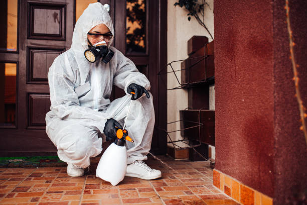 Reliable Wasp Removal contractor in Kimberly, ID by Show Me Pest Control
